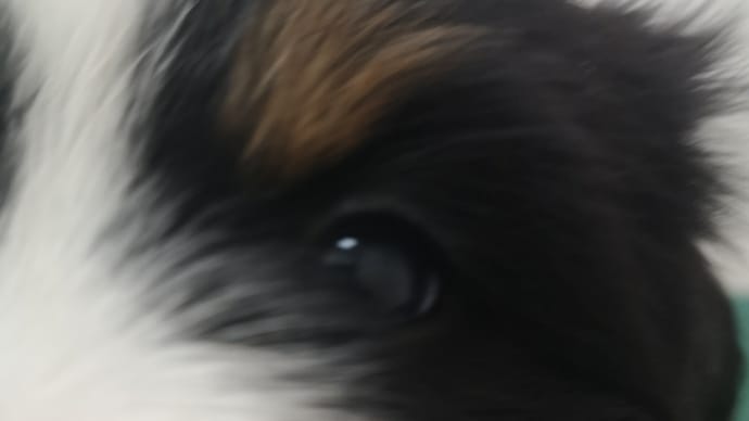 成長が止まらない〜🥰🥰🥰