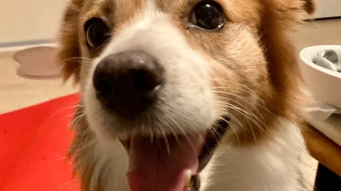 独り立ちしました