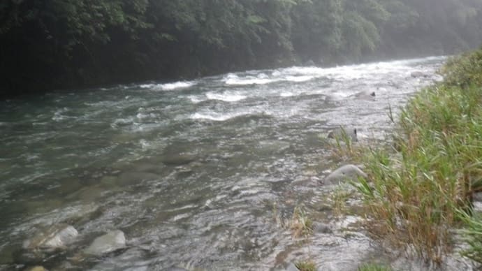 ８月１９日 増水の亀尾島川でアマゴと鮎釣り！