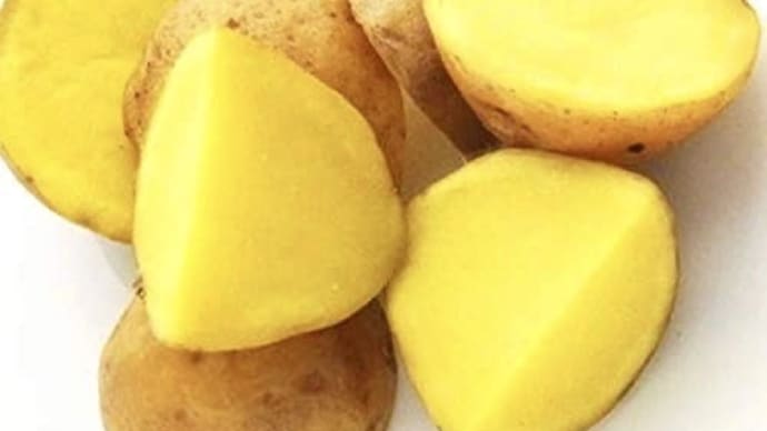 大胆に！インカのめざめを使ってポトフを制作中。