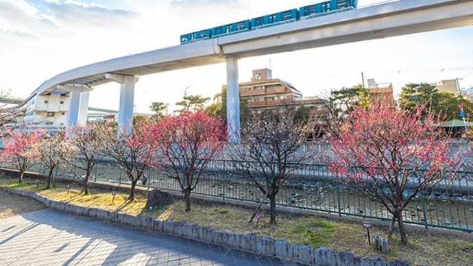 住吉川河川散歩