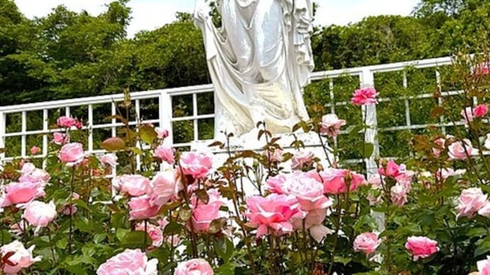 「春バラ」/生田緑地ばら苑