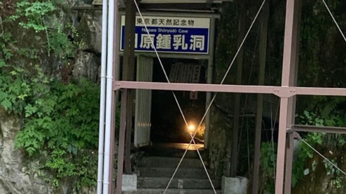 暑いので日原の鍾乳洞に涼みに行きました