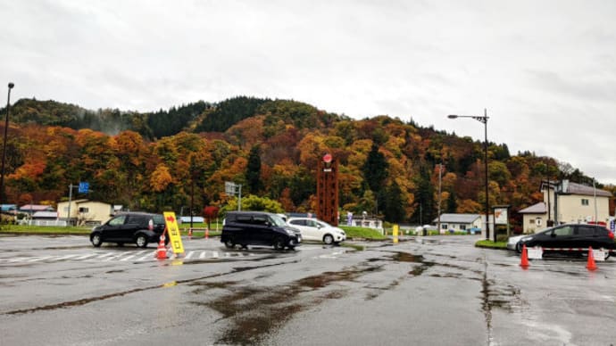 2020年　雨の 中野もみじ山 と 浄仙寺 の紅葉