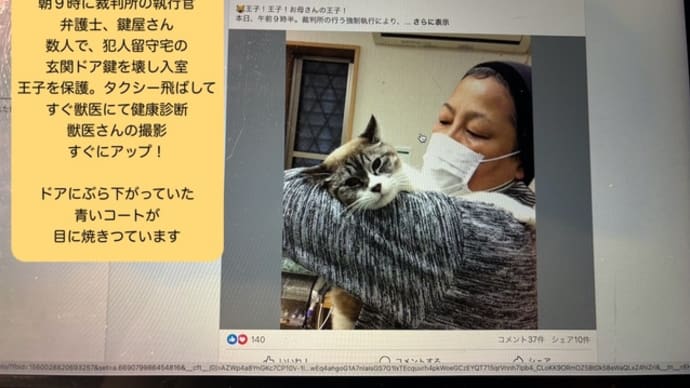 お知らせです