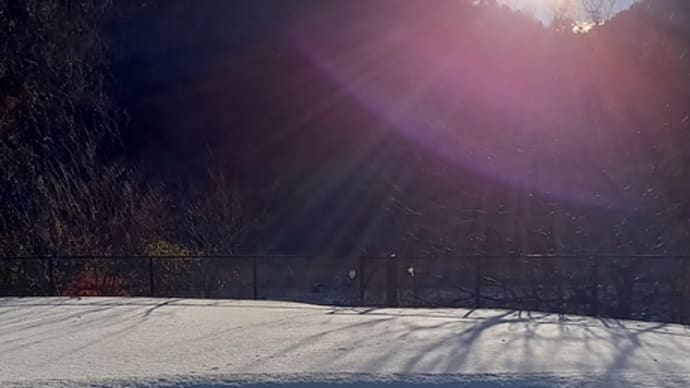 初冠雪