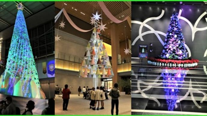 名古屋駅高層ビル群の【クリスマスツリー】🎄🎄
