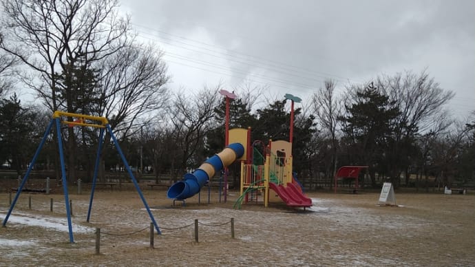 2023年2月26日 島見緑地