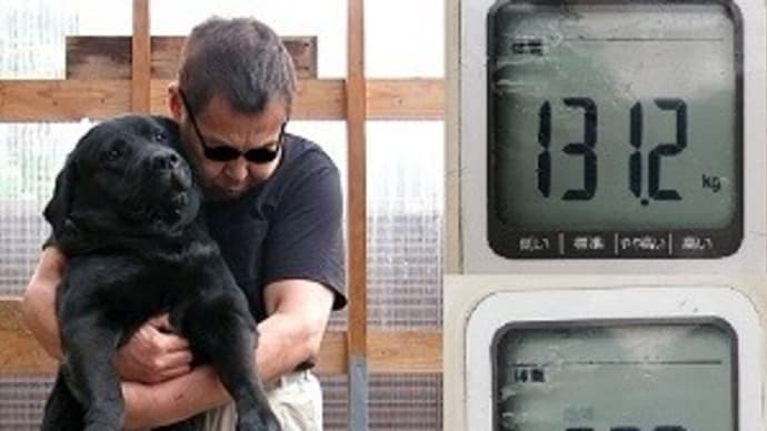 愛犬ラッキー 体重37.5kg