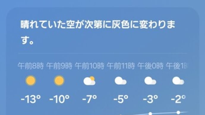 朝のタンチョウパトロール