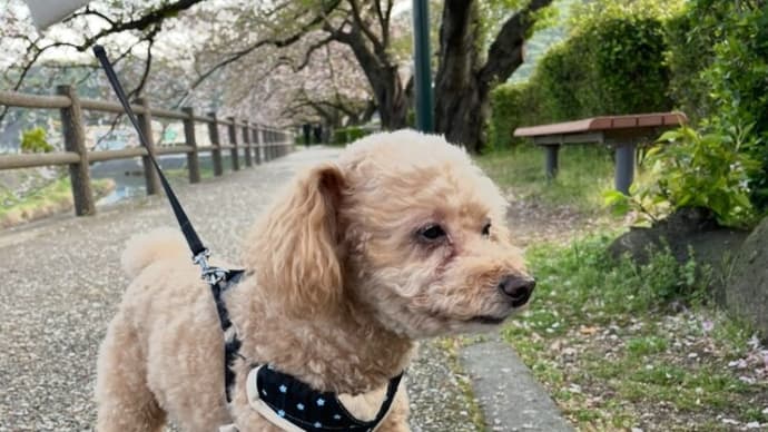 カメラ目線ください
