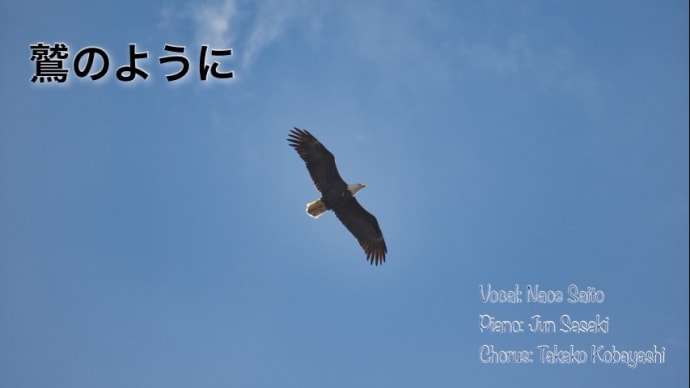 鷲のように