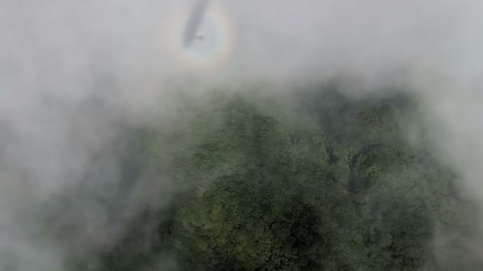 Monsoon Winds Continue