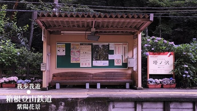 梅雨色、登山電車に彩る。