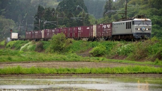 雨の水田地帯 EF510-509