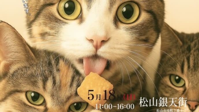 2025年5月18日(日曜日)銀天街にて「保護犬猫の譲渡会」開催します。