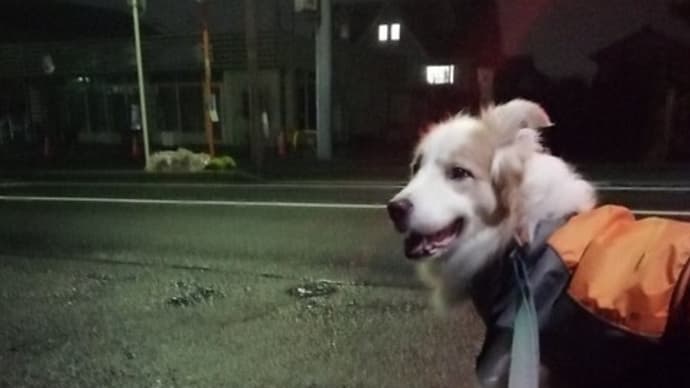 暖かい雨上がり