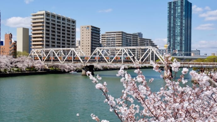 ママチャリに乗って桜の大川沿いを走りました(3)