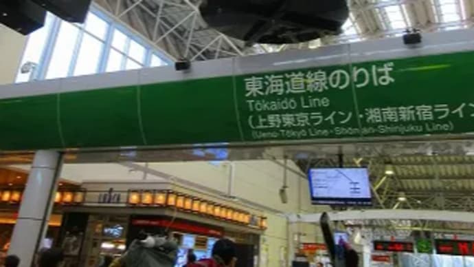 小田原散トレ 20240107