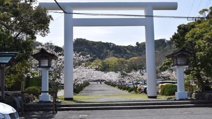 安房(あわ)神社でお花見(館山市)