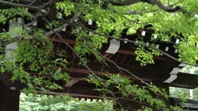 龍安寺*