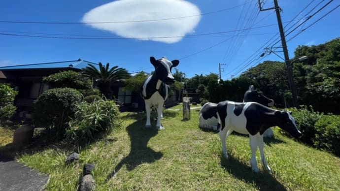 レンズ雲出現‼️