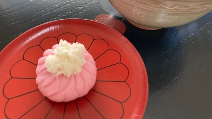 着せ綿