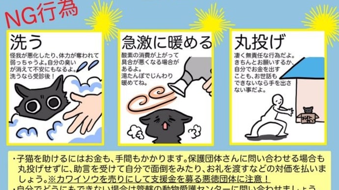 子猫を拾ったら!初動編