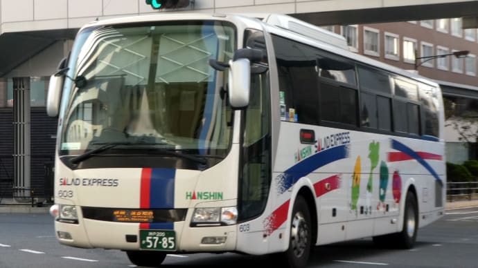 阪神バス 603