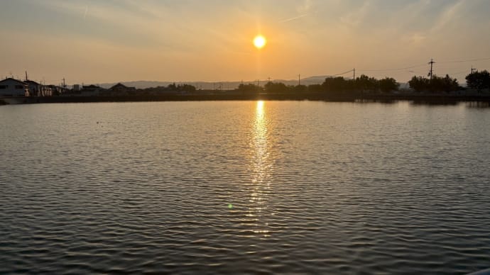 夕方散歩