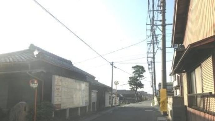 東海道名残の一本松 (東海道歩き旅・伊勢の国)
