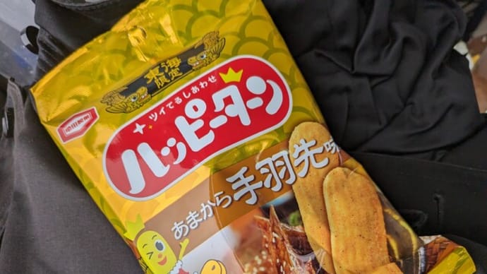 『移動中、渋滞にハマり、お昼ご飯がこれに···』