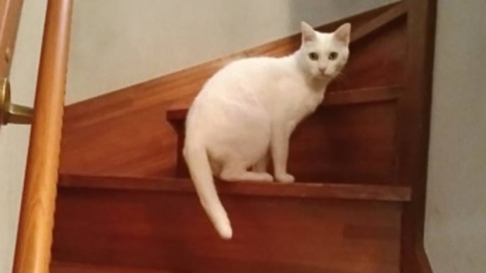 住宅改修
