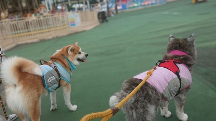 フルフラに寄り道~😃
