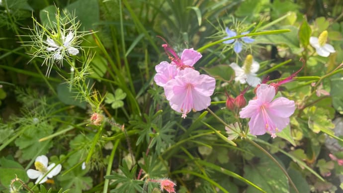 花 花 花