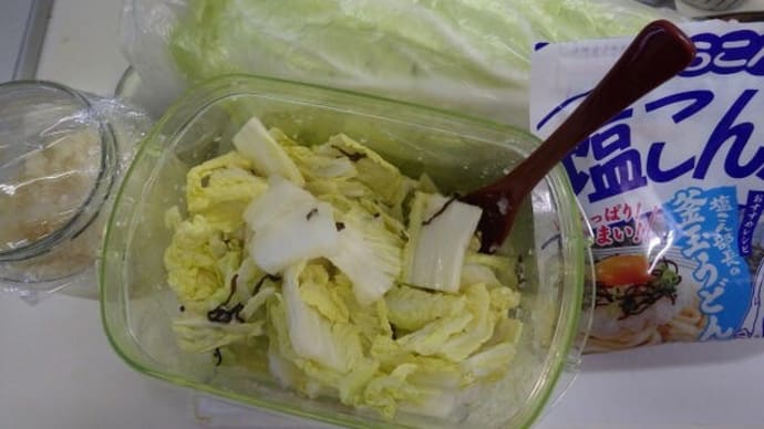 白菜を使い切る