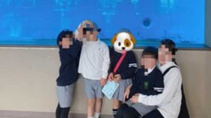 🐬うみの杜🐧