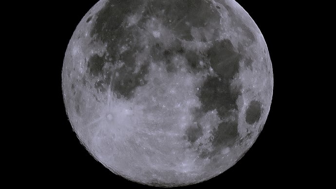 2280/~ wolf Moon(ウルフムーン)な夜~♪（Evening）