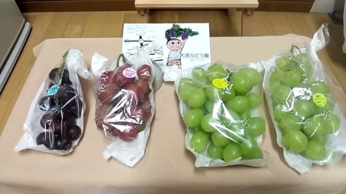 美味しい葡萄をたくさんいただきました。