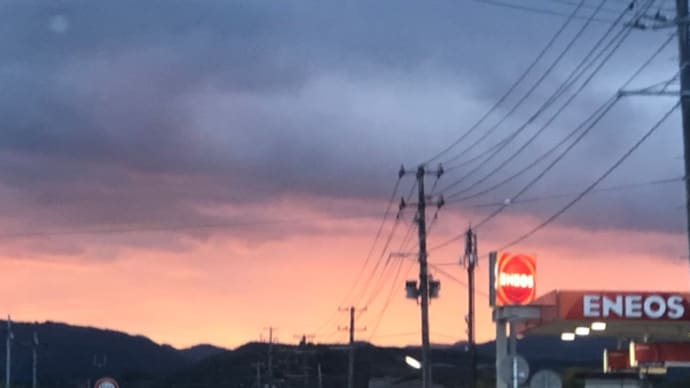 旅は身体に効くようです。