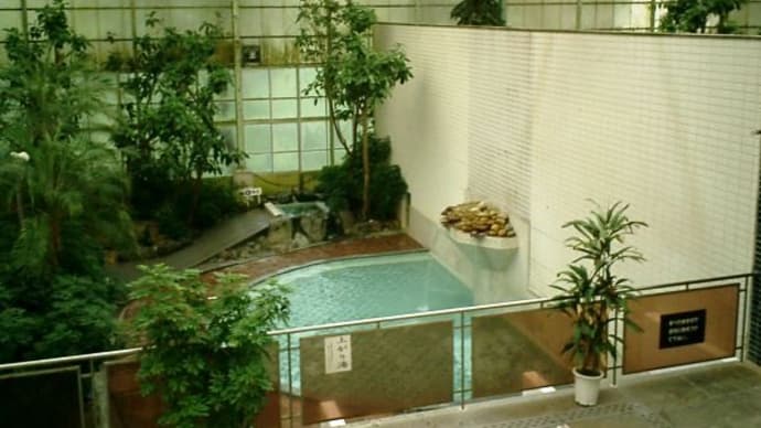 奥道後温泉 ホテル奥道後(愛媛県)