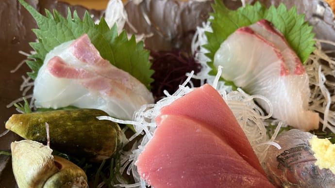 伊豆長岡の休日 (刺身定食、温泉饅頭、みかん狩り)