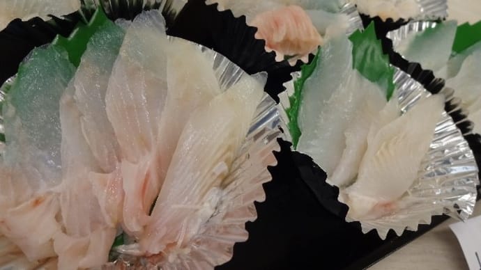 今日は珍しいお刺身！北海道の「サメガレイ」「トロほっけ」「天然鮭」「トロにしん」！！刺身と手作り干物の専門店「発寒かねしげ鮮魚店」。