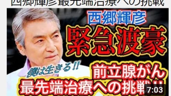 ◆西郷輝彦 第2弾 隔離編 緊急渡豪 前立腺がん最先端治療への道 / 第1弾 最先端治療への挑戦 /このブログでは、明日から当該「ルテチウムPSMA療法」のことや、周辺状況を整理しよう