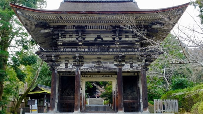冬の三井寺にお参りしました