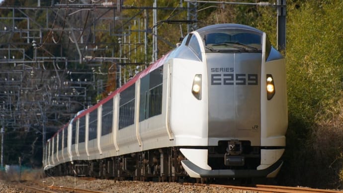 2024年2月26日　総武本線　物井　E259系 成田エクスプレス