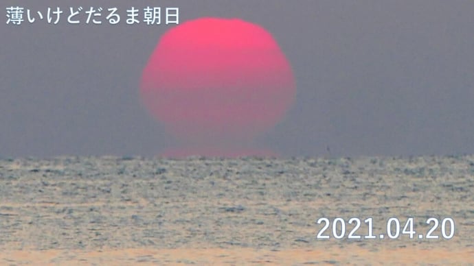 達磨太陽（朝陽）と大山さん　動画有り　2021年だるま朝日②