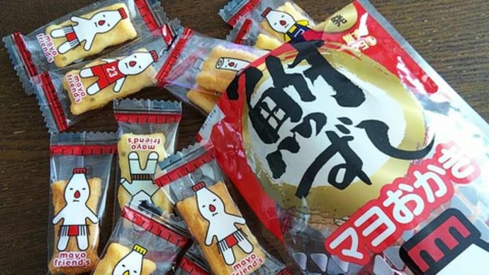 荷物に入らなかったやつ