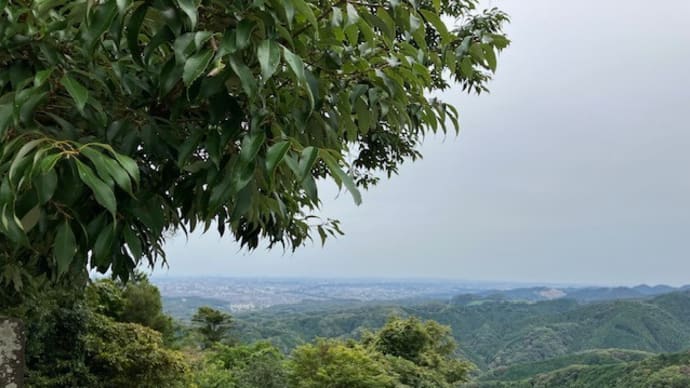 高尾山ハイキング