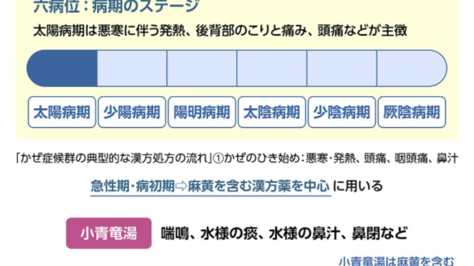 風邪のphaseを考慮した咳の漢方